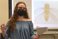 Bianca Russi hat ihre Maturaarbeit über die radioaktive Bestrahlung von Fruchtfliegen geschrieben.